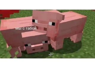 🩰 e03f06a5 Minecraft мы с тобой 我的世界, 猪, 游戏, 电子游戏 telegram sticker
