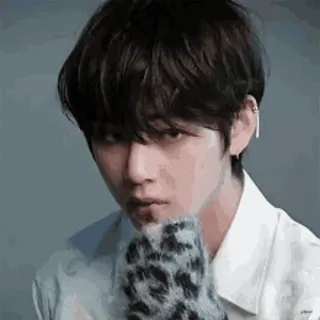 🎈 bdc6550f V v, bts, kpop, певец, айдол, корейский telegram sticker