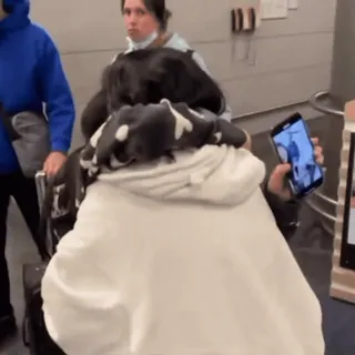 ❤️ f32736e6 telegram sticker