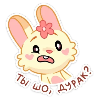 😐 b59d0243 ТЫ ШО, ДУРАК? うさぎ, 漫画, 表情, 可愛い, ステッカー telegram sticker