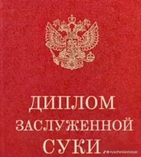 💅 49048900 ДИПЛОМ ЗАСЛУЖЕННОЙ СУКИ Diplom, Zertifikat, Beleidigung, beleidigend whatsapp sticker