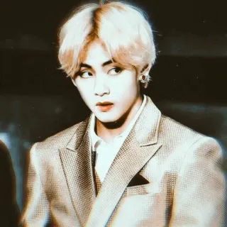 ⚜ 366715d5 V V, BTS, K-pop, 歌手, 偶像, 金泰亨, 名人 telegram sticker