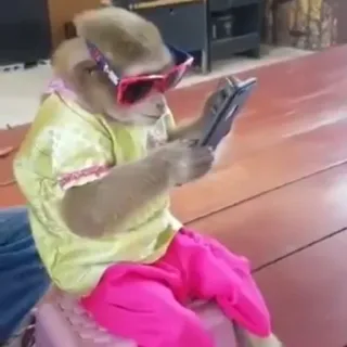 macaquinhos telegram stickers