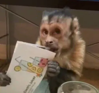 🙈 1087a094 Electric Juicer singe, animal, extracteur de jus, électrique, dessin whatsapp sticker