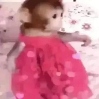 🙈 b90debc0 singe, animal, robe, mignon, rose, mème whatsapp sticker