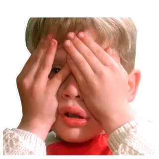 🙂 6f5e6dd1 Kevin McCallister Home Alone kind, alleen thuis, Kevin McCallister, verstoppen, piepen telegram sticker
