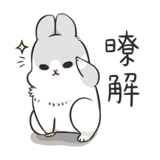 ✳️ e6021411 瞭解 lapin, dessin animé, animal, autocollant, mignon whatsapp sticker