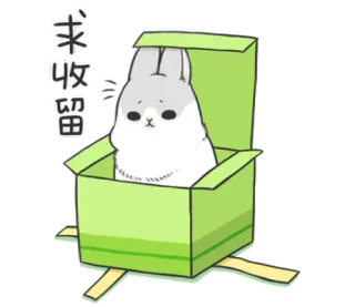 🐰 88596e65 来 收留 lapin, lapinou, boîte, mignon, animal, dessin animé whatsapp sticker