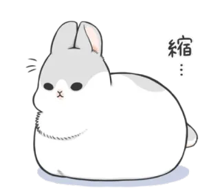 🐇 b67551b6 縮 lapin, lapinou, mignon, animal, dessin animé, rétrécir, petit, chibi whatsapp sticker
