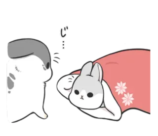 💤 dee8683c じ mignon, lapin, chat, couverture, dessin animé, animal whatsapp sticker