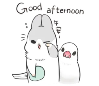 😞 f17dbcd1 Good afternoon animal, salutation, après-midi, mignon, oiseaux whatsapp sticker