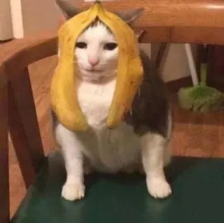 😼 6788f935 kat, banaan, dier, grappig, meme telegram sticker