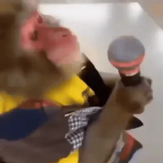 🐵 8ade4d58 mikrofon, binatang, monyet, bernyanyi, hiburan whatsapp sticker