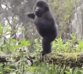 Dagmara😹😎 :: @fStikBot telegram stickers