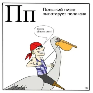 🤨 f1130e42 Jestem piratem! Arrr! pirata, pellicano, cartone animato, animale, mare, umorismo, illustrazione telegram sticker