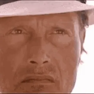 🔭 ddeab60c telegram sticker