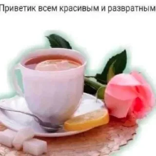 🫦 07ddd4f7 Приветик всем красивым и развратным Tee, Rose, Zitrone, Zucker, Gruß, Schön, Frech telegram sticker