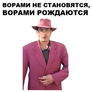 🤰 87e441c6 ВОРАМИ НЕ СТАНОВЯТСЯ, ВОРАМИ РОЖДАЮТСЯ whatsapp sticker