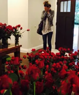 🥀 2f63b9bc 玫瑰, 花艺, 女人, 惊喜, 快乐 telegram sticker