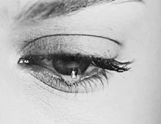 😭 c7ec1c14 眼睛, 化妆, 睫毛, 美容 telegram sticker