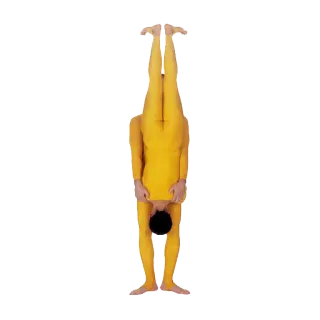 🅰 f1cf26fc kuning, setelan, handstand, terbalik, orang, pertunjukan whatsapp sticker