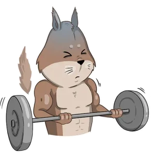 🏋️‍♀️ 4d5afde4 fitness, levantamiento de pesas, ardilla, dibujos animados, ejercicio telegram sticker