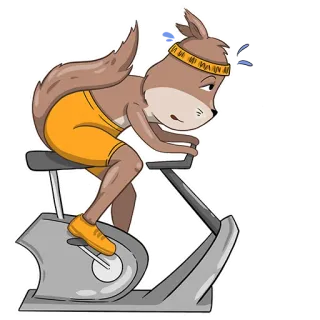 🐿 ab6500c5 ardilla, ejercicio, fitness, dibujos animados, animal, bicicleta estática, entrenamiento telegram sticker