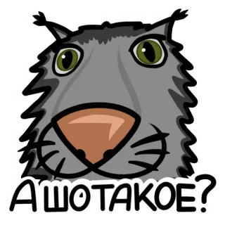 🤨 a8df3da0 А ЧТО ТАКОЕ? binatang, lynx, kucing, pertanyaan telegram sticker