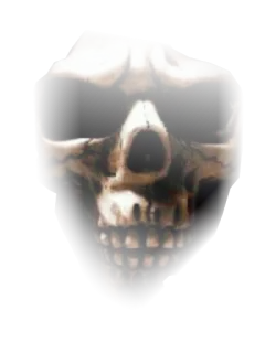 😱 2ea31c2a skull, death, skeleton, horror, scary, anatomy telegram sticker