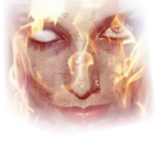 @owl60 telegram stickers