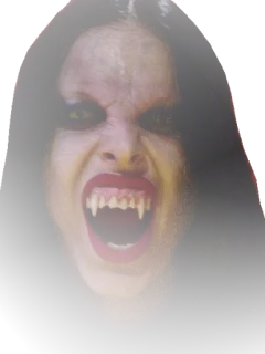 @owl60 whatsapp stickers