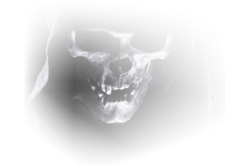 😱 d4976ac8 skull, death, grim reaper, horror, scary, dark, skeleton telegram sticker