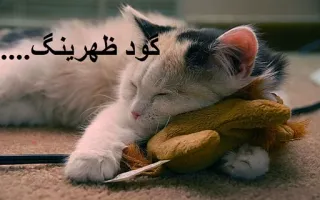 💤 ad0553e2 کود ظہرینگ.... gatto, gattino, dormire, carino, animale, leone, giocattolo telegram sticker