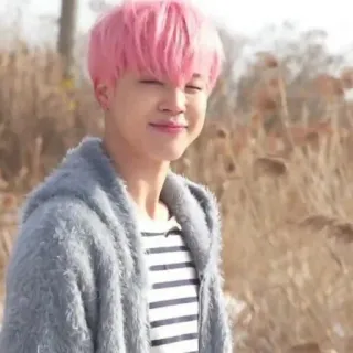 🦋 24ef9c87 Jimin Jimin, BTS, K-pop, Idool, Koreaans, Zanger, roze haar telegram sticker