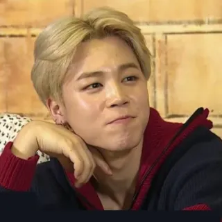 🍁 8a8c8d00 Jimin kpop, idool, zanger, jimin, bts, persoon, man telegram sticker