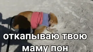 @mak_sya | @mak_sya | @mak_sya :: @fStikBot telegram stickers