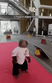 🐒 5eb0f10e спортсмен пон khỉ, võ thuật, thể thao, hài hước, meme, động vật, karate telegram sticker