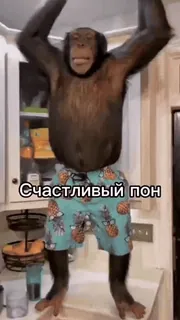 🐒 6c16b0c5 Счастливый пон khỉ, vui vẻ, tinh tinh, động vật, hài hước telegram sticker