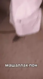 🐒 805c0e7f машаллах пон telegram sticker
