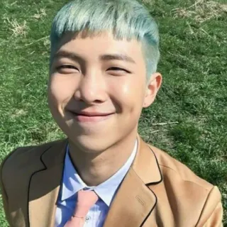 ⭐️ e64d4ccb RM RM, Kim Namjoon, BTS, K-pop, penyanyi, idola, selebriti telegram sticker
