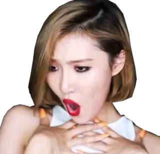 😱 23e8081a whatsapp sticker