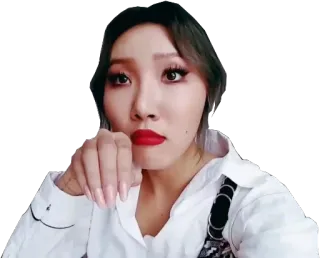 🐶 ae2ce4ff telegram sticker