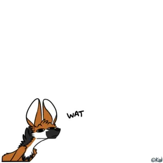 🤨 3c817aa6 WAT Hund, Frage, verwirrt, Tier, Cartoon telegram sticker