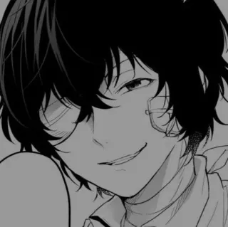 🩹 300644f7 telegram sticker