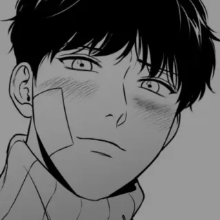 🩹 60276aad anime, manga, manhwa, male, bandaid, blush telegram sticker