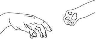 b o r d e r  ? ! @iinosuke telegram stickers