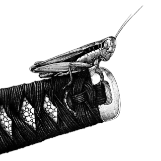 🦗 76ae7341 konik polny, katana, owad, miecz, miecz japoński telegram sticker