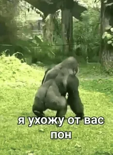 @mak_sya | @mak_syaa | @mak_sya :: @fStikBot telegram stickers