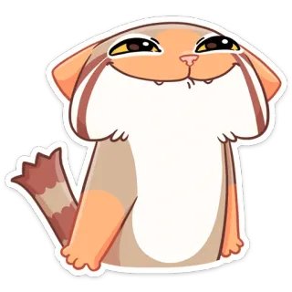 🤩 6c34b59e chat, animal, sticker, mème, suffisant, expression telegram sticker