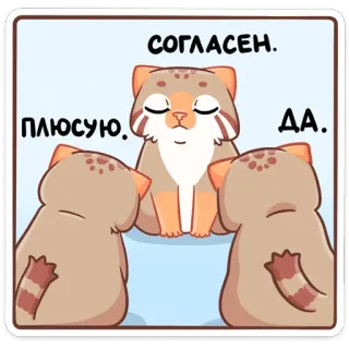 😌 cf850930 СОГЛАСЕН.
ПЛЮСУЮ. ДА. chat, d'accord, j'approuve, oui, mignon, animal, russe telegram sticker